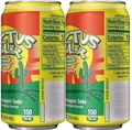 Cactus Cooler six-pack side view